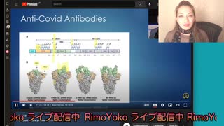 まぎわらしいCOVID蛇毒説の科学的検証動画の翻訳＆解説ー2/2（説明欄に要約有り）