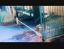 ホモと見る　コント「門番」