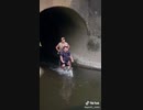 ホモと見る　世界平和