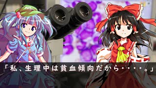 【霊夢と大翔のラブストーリー】私、生理中は貧血傾向だから・・・・。