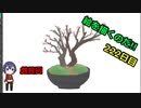 絵を描くのだ【222日目】
