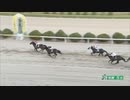 2022年5月8日佐賀競馬5R ２０２２地方競馬 ＪＣＳファーストステージ第１戦(C2) アルファライン