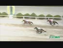 2022年5月8日佐賀競馬7R ２０２２地方競馬 ＪＣＳファーストステージ第２戦(C1-11組) プロデューサー