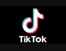 TikTok音源※自分用(30)