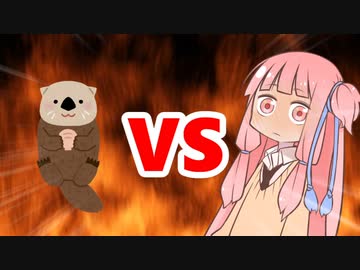 茜ちゃんVSラッコ