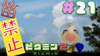 【笛禁止！】笛を吹くことができない主人公の冒険【ピクミン2実況】#21