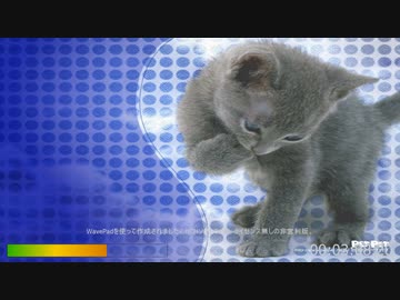 Wonder Girl/雛形あきこ