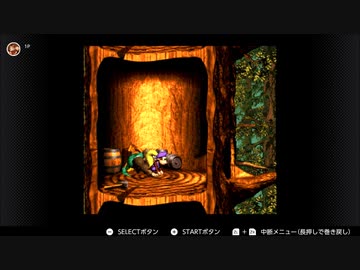 【スーパードンキーコング３】Treetop Tumble【BGM】