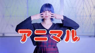 【りンご】アニマル【踊ってみた】