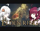 【エルデンリング】ソウルシリーズほとんど未プレイのきりきずの冒険１３