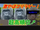 ランカー目指した戦士の記録【無限ゴリラスロット】