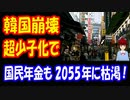 【韓国の反応】 韓国 崩壊！ 将来 滅びないと 言う人は 正気ですか？ 少子化の状況を ご覧ください