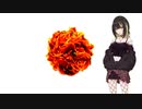 斑鳩ルカ / なんなんだ代