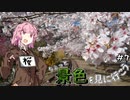 ちょっと景色を見に行こう　#7【桜巡り2022】