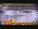 ポケモンレジェンズ アルセウス　大量発生で研究レベルを上げる！ユキワラシ編　ポケモン図鑑コンプへの道　＃６１７【Pokémon LEGENDS アルセウス】