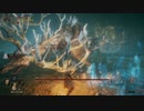 【ELDEN RING】発売日からトロコンするまで【実況】 part40