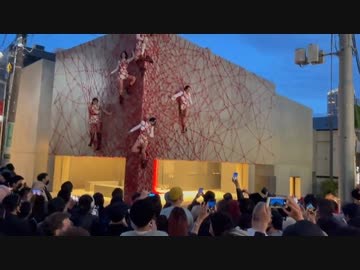 ホモと見る柱の女