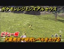 ポケモンレジェンズ アルセウス　大量発生で研究レベルを上げる！ピチュー編　＃６２５【Pokémon LEGENDS アルセウス】