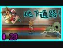 ★ピカブイ★色違いと伝説と行くカントー旅★初見実況#29★