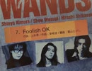 WANDS - Foolish OK  【off vocal】