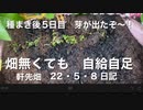 種まき後、芽が出たご報告。