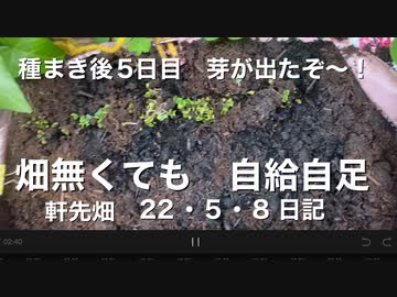 種まき後、芽が出たご報告。
