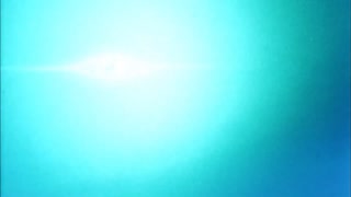 デデーン(ブロリー) 1時間耐久