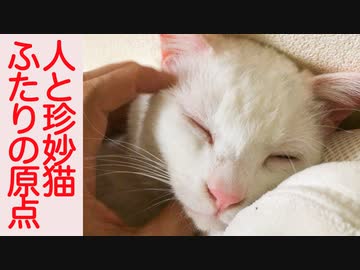 珍妙ウチューネコ、共に生きてきた約8年の原点