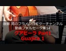 グアヒーラPart1 Guajira1【動画ファルセータ集14】