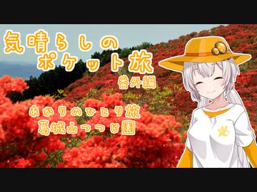 気晴らしのぽけっと旅　番外編　あかりの一人旅　葛城山つつじ園