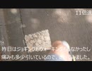 運動Day.40