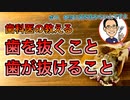 歯を抜くことと歯が抜けることについて【根本から考える歯科医が解説】