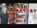【世界一嫌われ医者】ムダ毛が生えてくることと脱毛について【#内海聡】 【#うつみん】