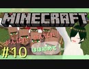 【Minecraft】ほぼ初めて！がんばれ村人！！  Part.10
