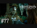 【ゆっくり実況】Horizon Zero Dawn その77