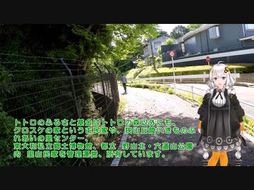 紲星あかりと行く新緑の多摩湖自転車歩行車道５