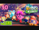 ロボ勇者の、星のカービィディスカバリーで実況学習30【VTuber】