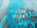 チービシ諸島・ナガンヌ島！DJIドローン