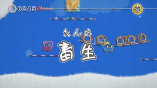 【何かと治安の悪い 毛糸のカービィ】可愛くても容赦はしない女、たん坊【Part.11】