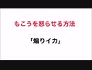 もこうを怒らせる方法を二倍速にしたらもこうの声がめっちゃ可愛くなった