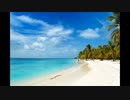 Ταξίδι στις Μπαχάμες | exotictrips.gr
