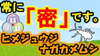 【ゆっくり解説】我々に「3密」は関係なし！　ヒメジュウジナガカメムシを解説