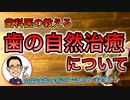 歯の自然治癒について【根本から考える歯科医が解説】