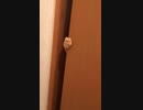 1人にはさせない