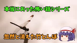 本当にあった怖い話【消えた竹とんぼ】ゆっくり怖い話　ゆっくり怪談睡眠用・作業用