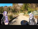 【自転車車載】あかりちゃんをサイクリングに連れ出しました 11回目