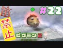 【笛禁止！】笛を吹くことができない主人公の冒険【ピクミン2実況】#22