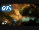 忘れないようにちょいちょい様子見せてくれる【Ori and the Will of the Wisps】#7