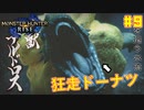 【ゆっくり実況】サンブレイク発売までにストーリー終わらすだけ Part9【MHRise/PC版】