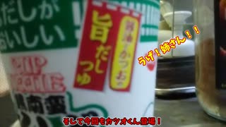 【ルーミアの食レポ】日清カップヌードル鳥南蛮そば